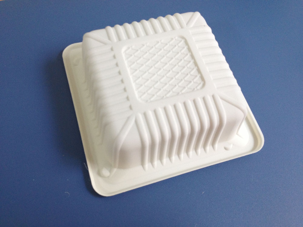 Biodegradable Food Container